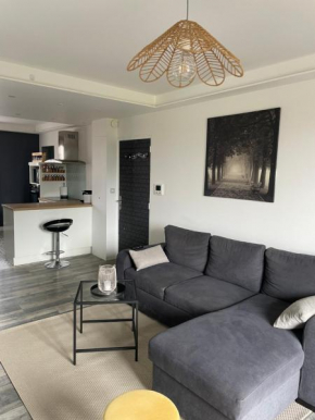 Grand appartement avec balcon et 2 chambres